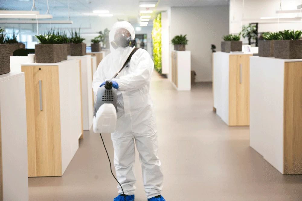 Bio Green Professional Disinfection Service