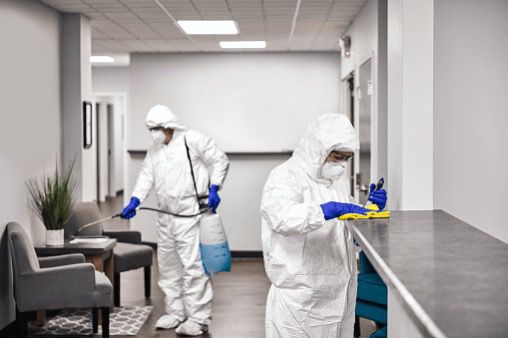 Dezinsektim - Bio Green Professional Service